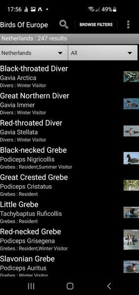 Birds Of Europe Guide - عکس برنامه موبایلی اندروید