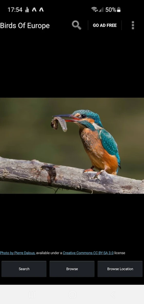 Birds Of Europe Guide - عکس برنامه موبایلی اندروید