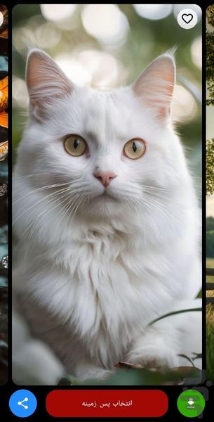 تصویر زمینه گوشی - عکس برنامه موبایلی اندروید