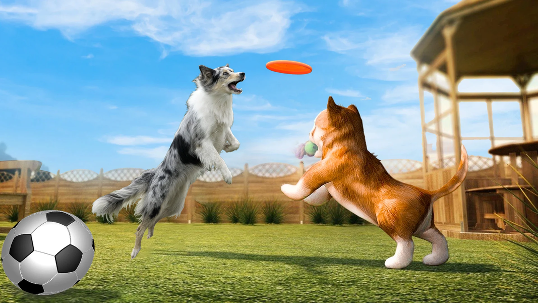 Dog Simulator : 3D Dog Games - Gameplay image of android game