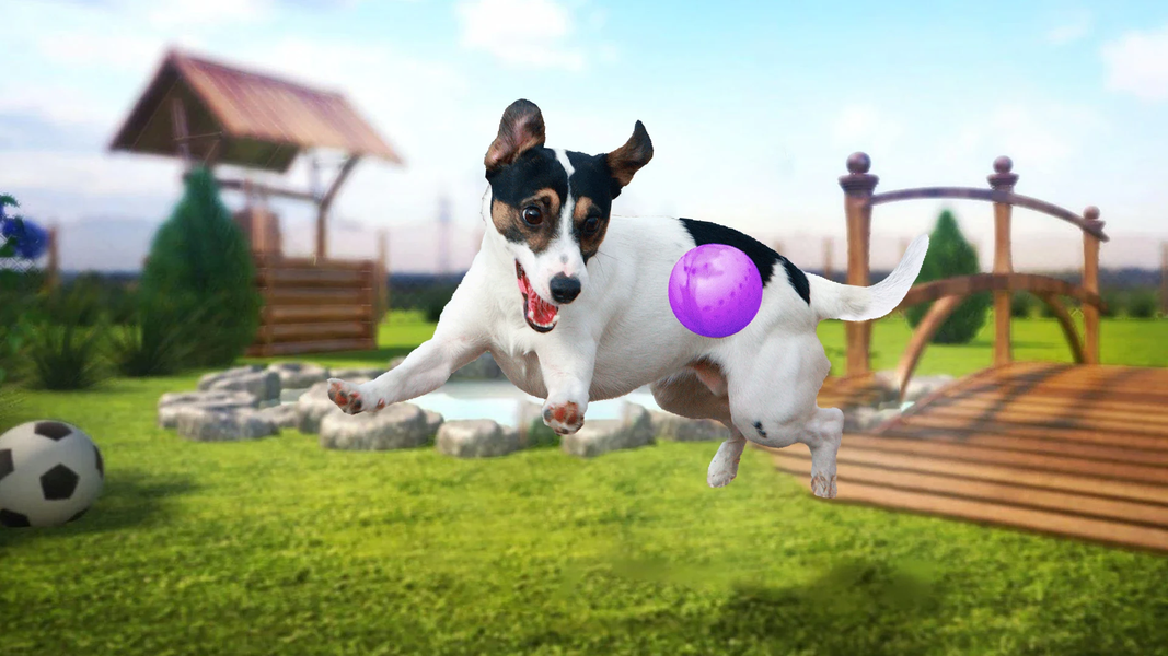 Dog Simulator : 3D Dog Games - Gameplay image of android game