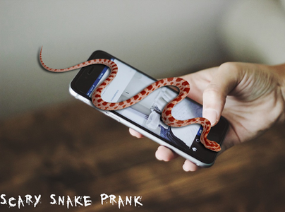 Snake prank deals