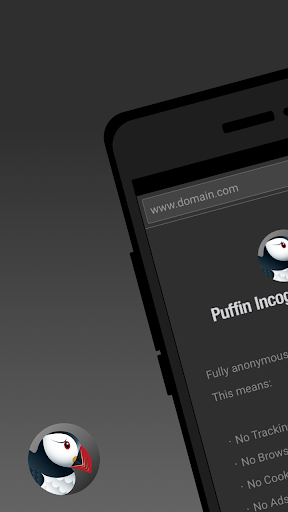Puffin Incognito Browser - عکس برنامه موبایلی اندروید
