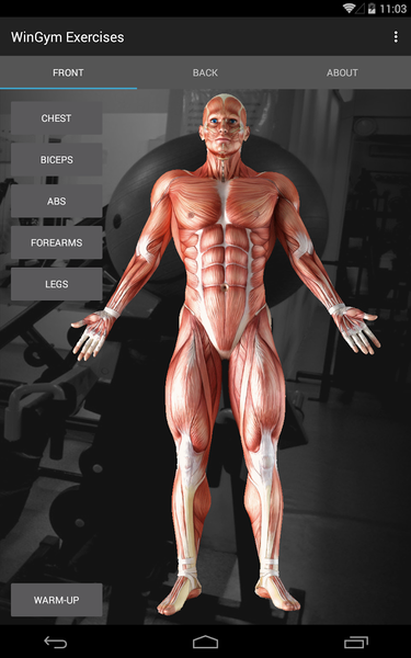 WinGym Exercises - عکس برنامه موبایلی اندروید