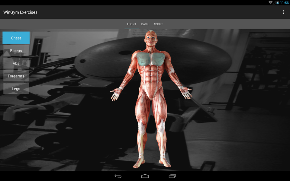 WinGym Exercises - عکس برنامه موبایلی اندروید