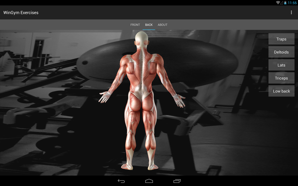 WinGym Exercises - عکس برنامه موبایلی اندروید