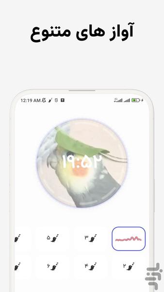 Paramooz - Bird Singing Teacher - Image screenshot of android app
