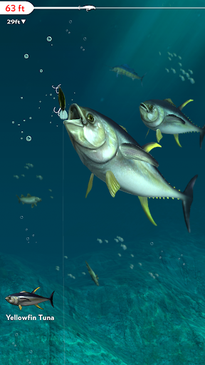 Rapala Fishing - Daily Catch - عکس بازی موبایلی اندروید