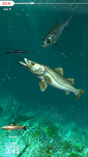 Rapala Fishing - Daily Catch - عکس بازی موبایلی اندروید