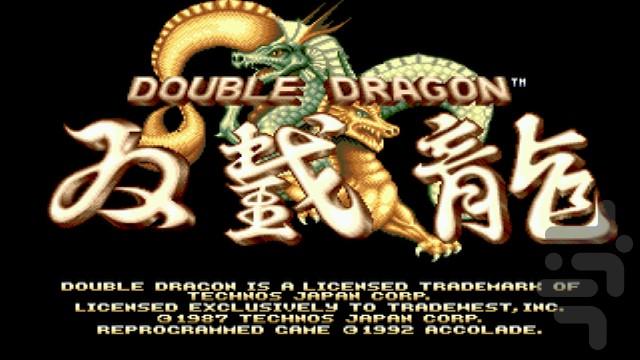 Double Dragon - Gameplay image of android game