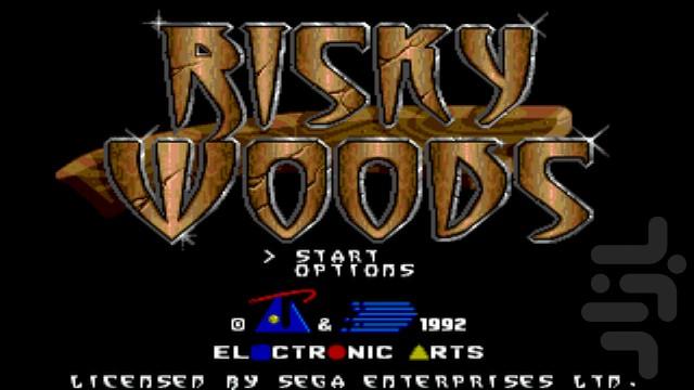 Risky Woods - Gameplay image of android game