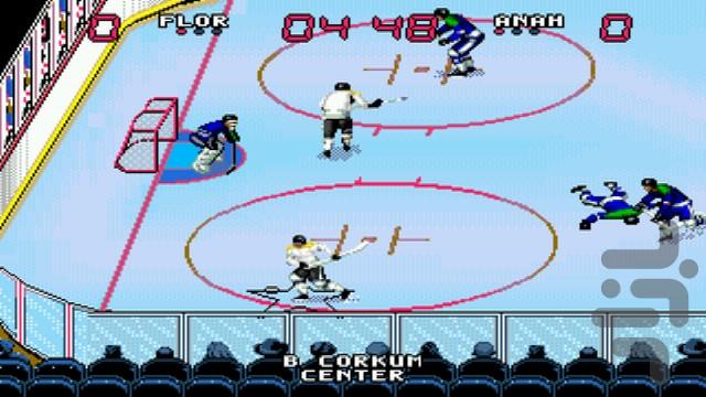 Wayne Gretzky and NHLPA All-Stars - Gameplay image of android game