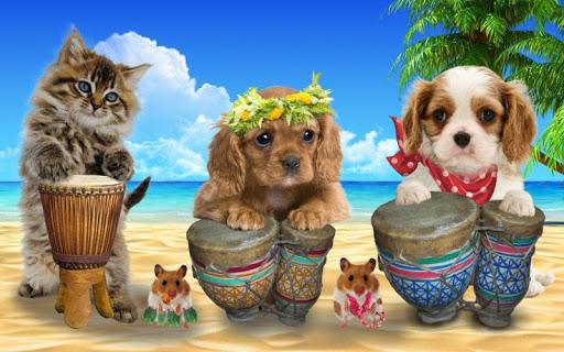 Talking cat. Talking puppy. - Image screenshot of android app
