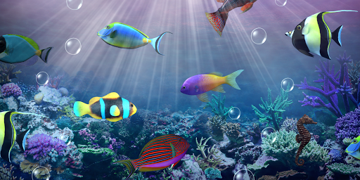Aquarium live wallpaper - عکس برنامه موبایلی اندروید