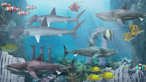 Shark aquarium live wallpaper - Image screenshot of android app
