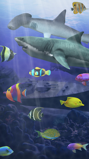 Shark aquarium live wallpaper - Image screenshot of android app