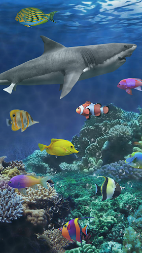 Shark aquarium live wallpaper - Image screenshot of android app