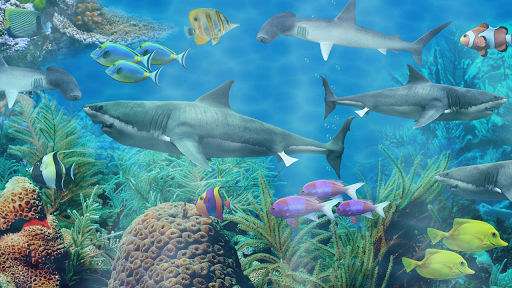 Shark aquarium live wallpaper - Image screenshot of android app