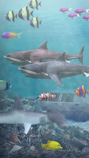 Shark aquarium live wallpaper - Image screenshot of android app
