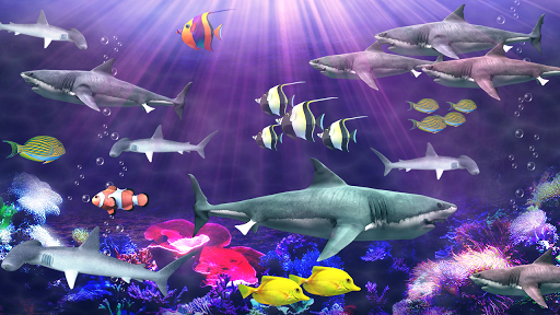 Shark aquarium live wallpaper - Image screenshot of android app