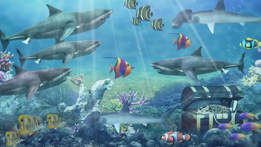 Shark aquarium live wallpaper - Image screenshot of android app