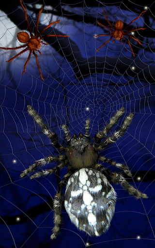 Spider, live wallpaper - عکس برنامه موبایلی اندروید