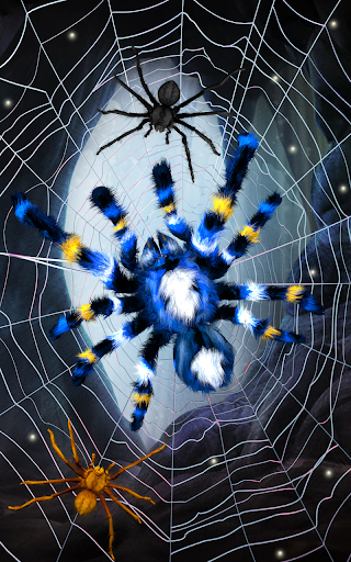 Spider, live wallpaper - عکس برنامه موبایلی اندروید