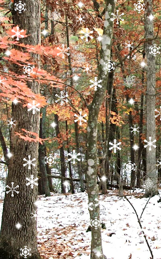 Winter and snowfall - Image screenshot of android app