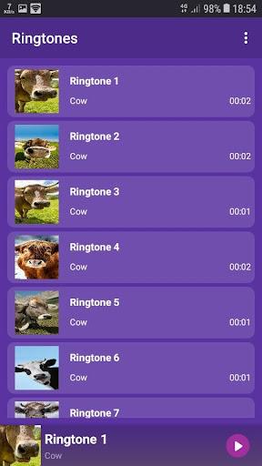 Cow - RINGTONES and WALLPAPERS - Image screenshot of android app