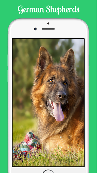 German Shepherds - Gameplay image of android game
