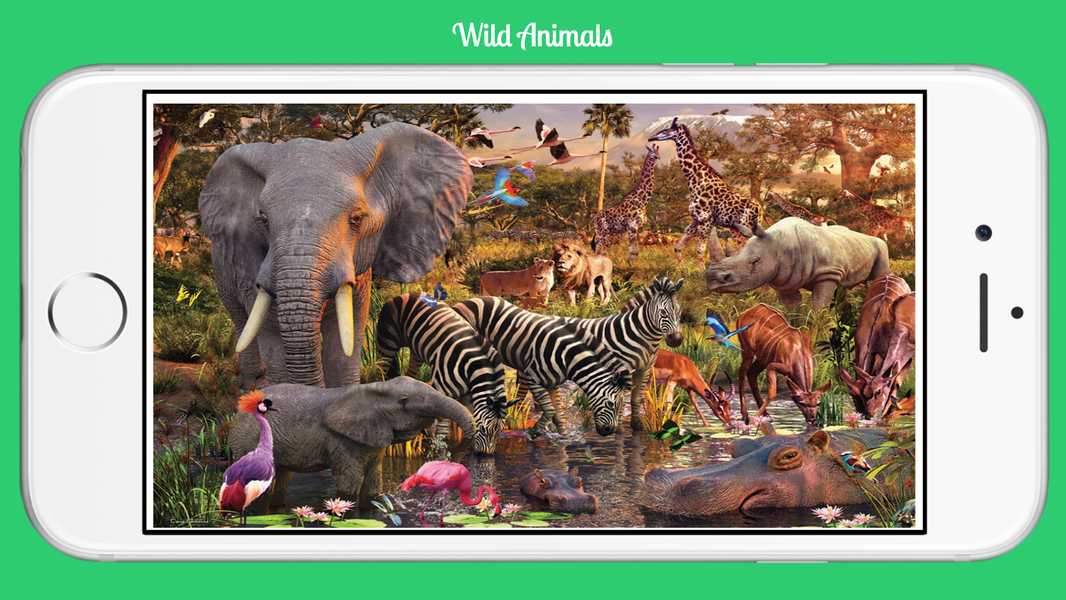Wild Animals - عکس برنامه موبایلی اندروید