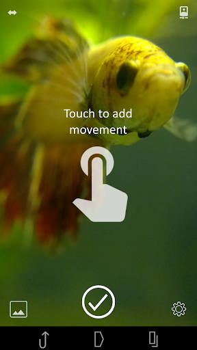 Cinemagraph - Image screenshot of android app