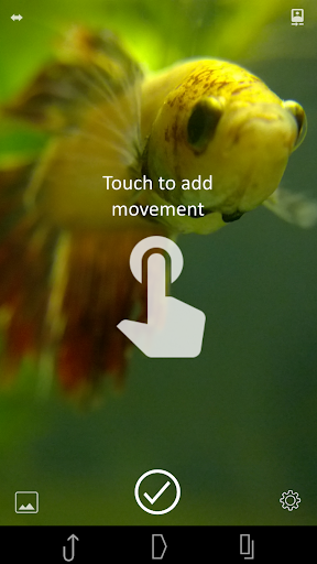 Cinemagraph - Image screenshot of android app