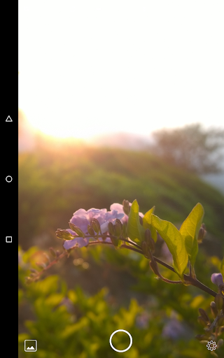 Cinemagraph - Image screenshot of android app