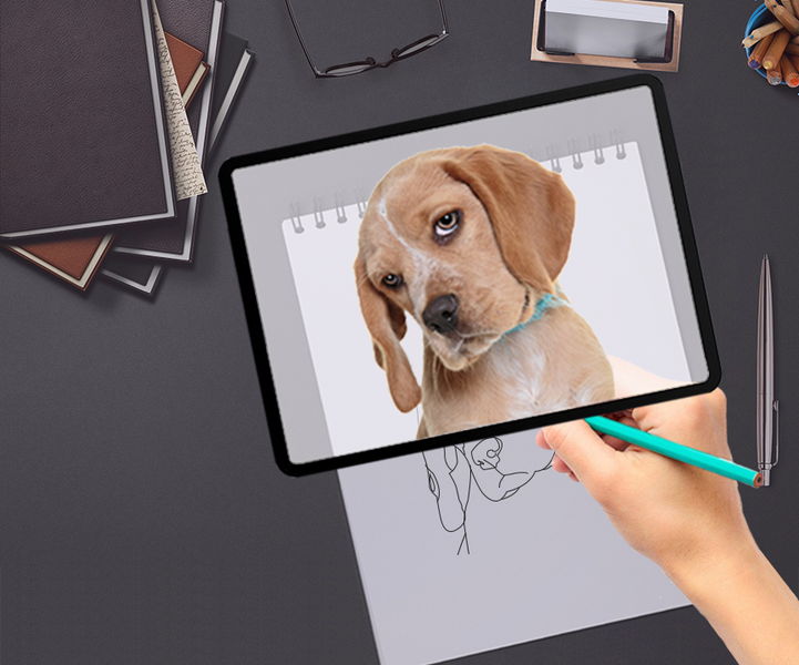 Drawing Sketch And Trace - Image screenshot of android app