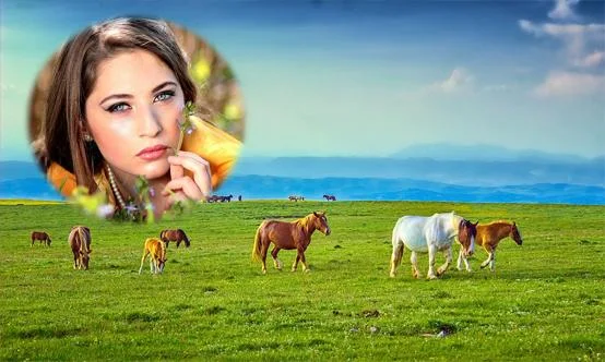 Farm Animals Photo Frames - عکس برنامه موبایلی اندروید