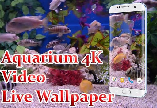 Aquarium 4K Live Wallpaper - عکس برنامه موبایلی اندروید