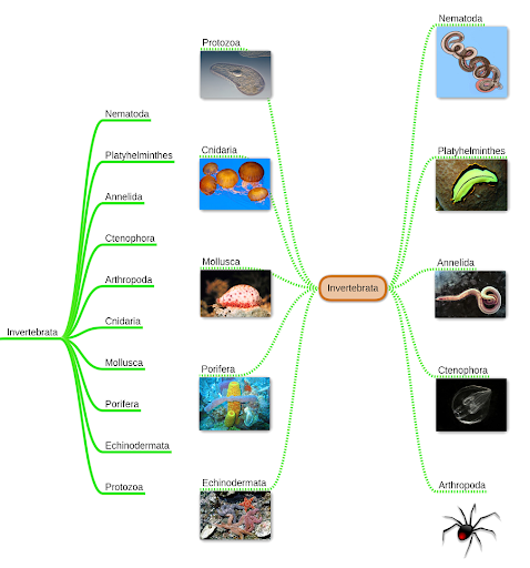 miMind - Easy Mind Mapping - Image screenshot of android app