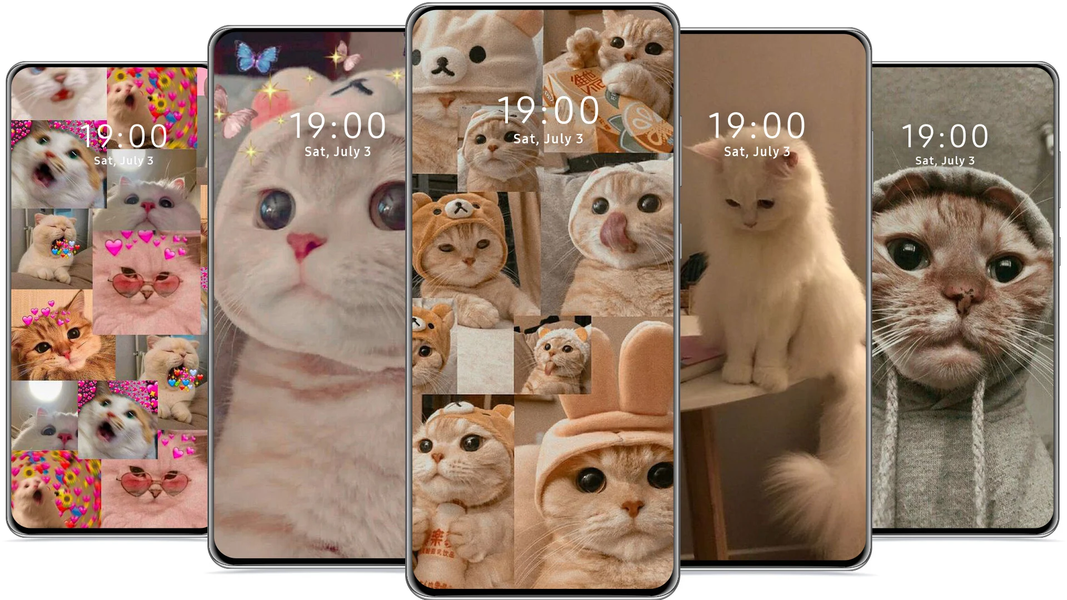 Cute Cat Wallpaper - عکس برنامه موبایلی اندروید