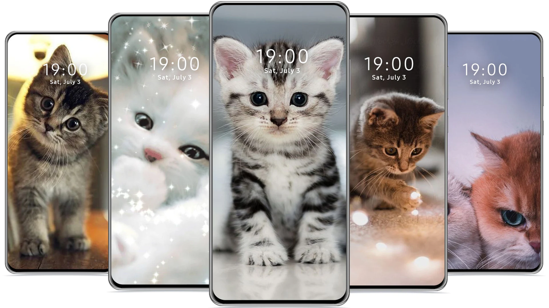 Cute Cat Wallpaper - Image screenshot of android app