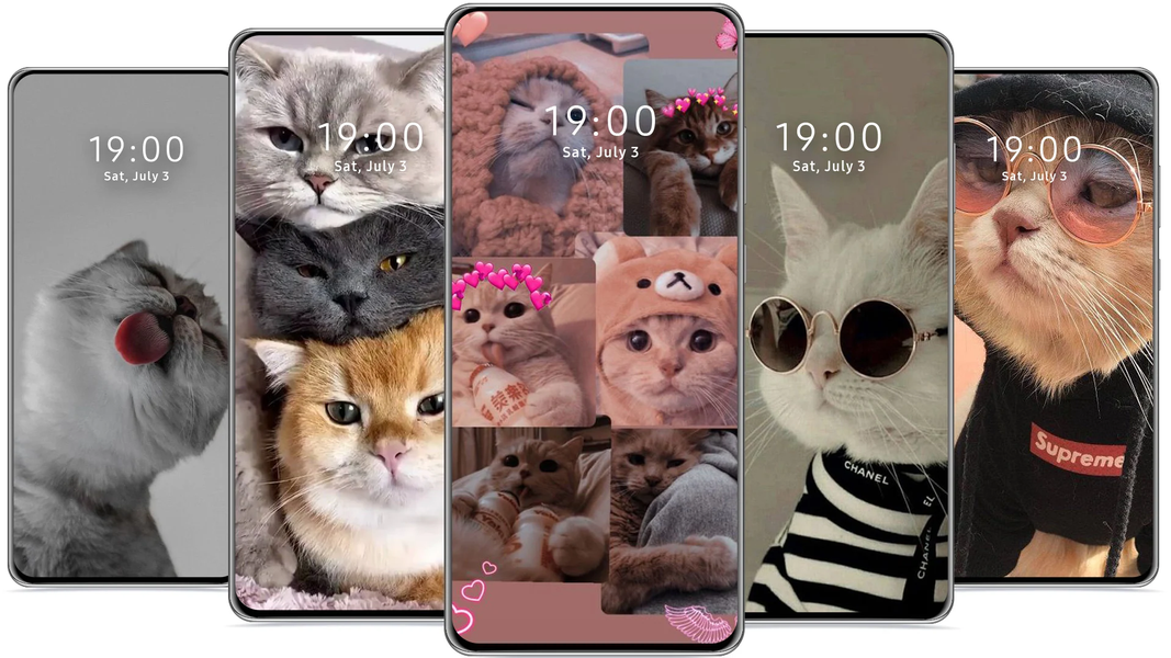 Cute Cat Wallpaper - عکس برنامه موبایلی اندروید