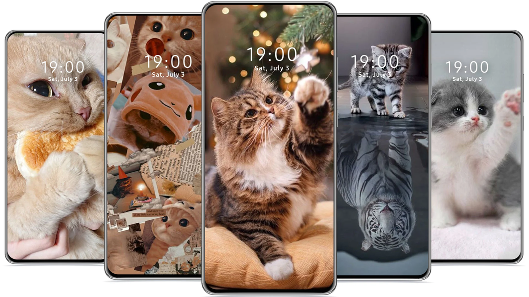 Cute Cat Wallpaper - Image screenshot of android app