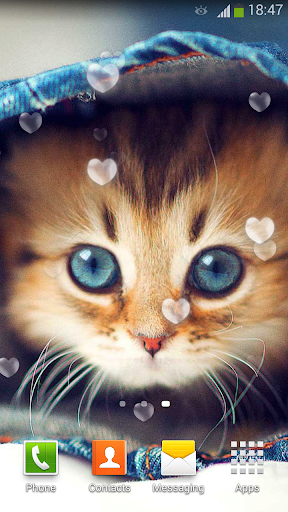 Cute Cats Live Wallpaper - عکس برنامه موبایلی اندروید