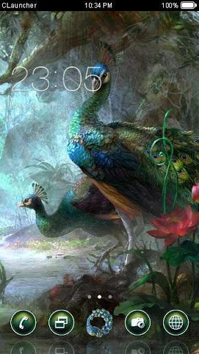 Colorful Peacoke Theme - عکس برنامه موبایلی اندروید