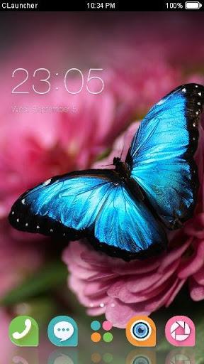 Blue Butterfly Theme - Image screenshot of android app