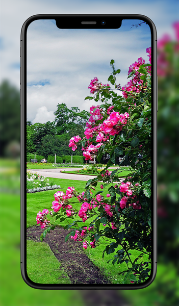 Garden Wallpapers - عکس برنامه موبایلی اندروید
