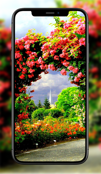 Garden Wallpapers - عکس برنامه موبایلی اندروید