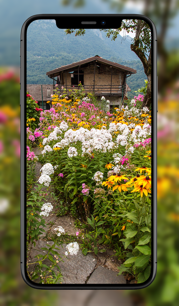 Garden Wallpapers - عکس برنامه موبایلی اندروید