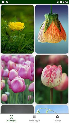 Flower Wallpaper - Image screenshot of android app