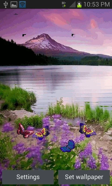 Beautiful Lake Butterfly LWP - عکس برنامه موبایلی اندروید